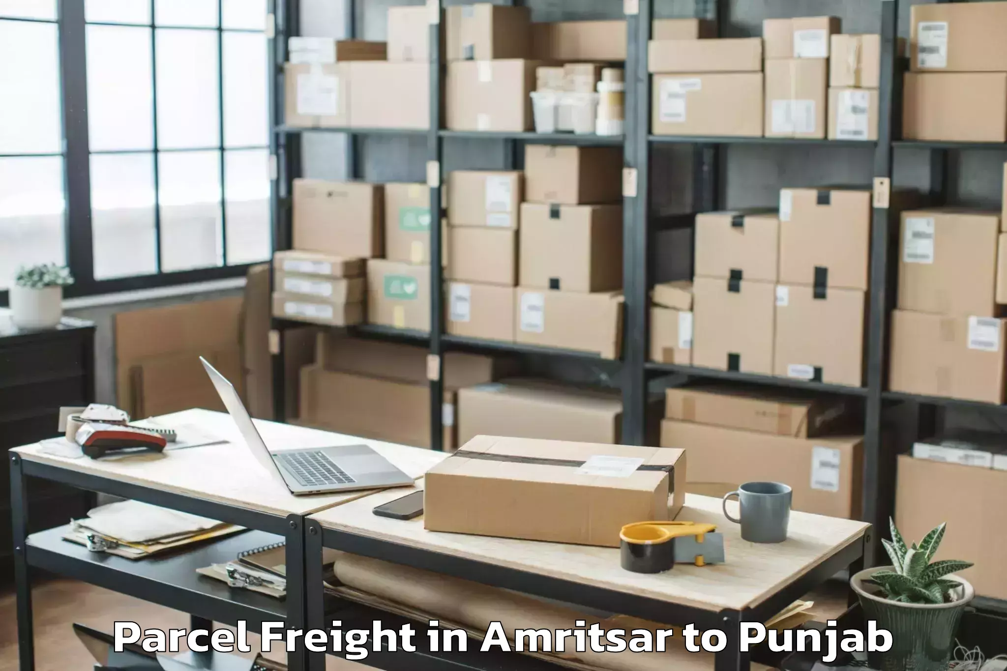 Quality Amritsar to Nurpur Kalan Parcel Freight